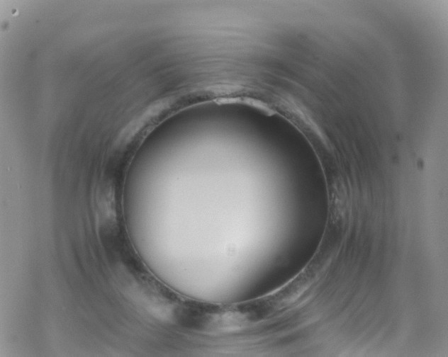 X0000069410212200605192312