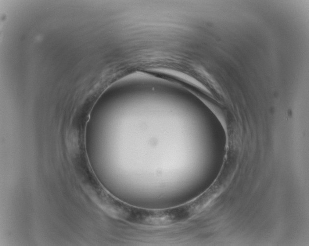 X0000069410213200605192312