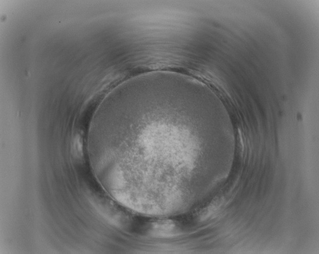 X0000069410214200605192312