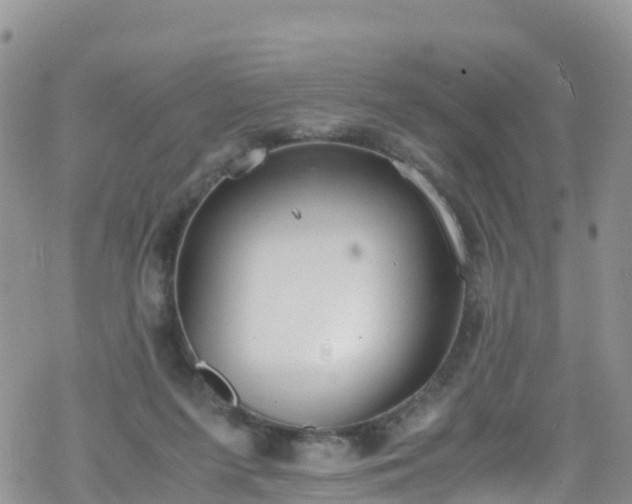 X0000069410215200605192312