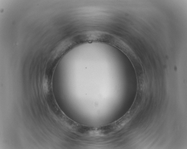 X0000069410216200605192312