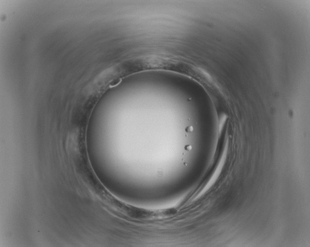 X0000069410217200605192312