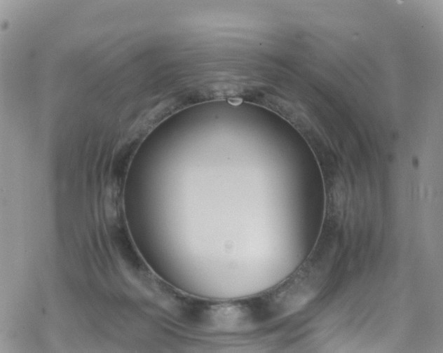 X0000069410218200605192312