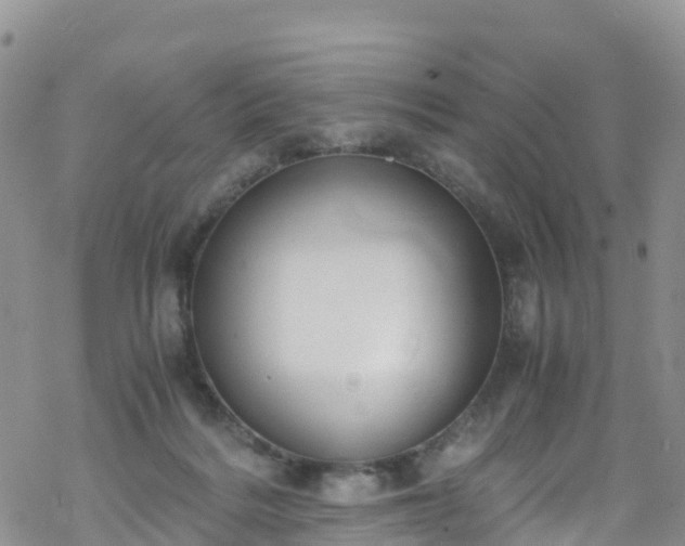 X0000069410220200605192312