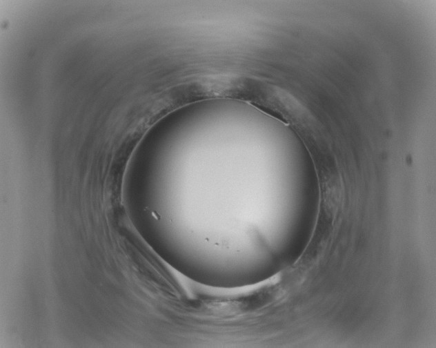 X0000069410221200605192312