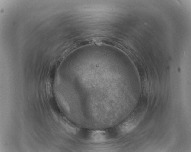 X0000069410222200605192312