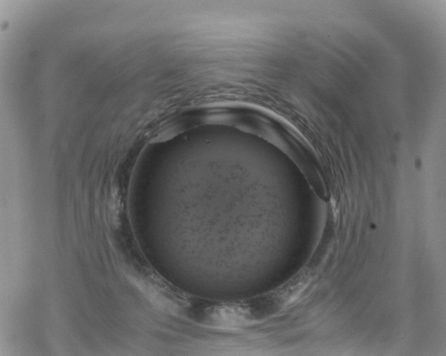 X0000069410223200605192312