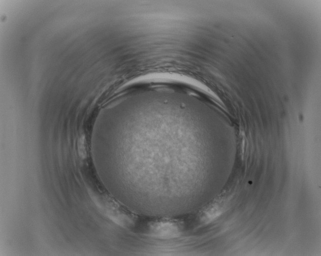 X0000069410224200605192312