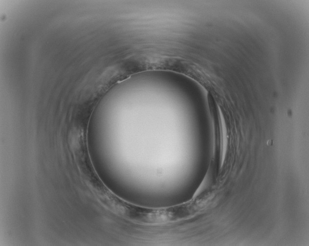 X0000069410225200605192312