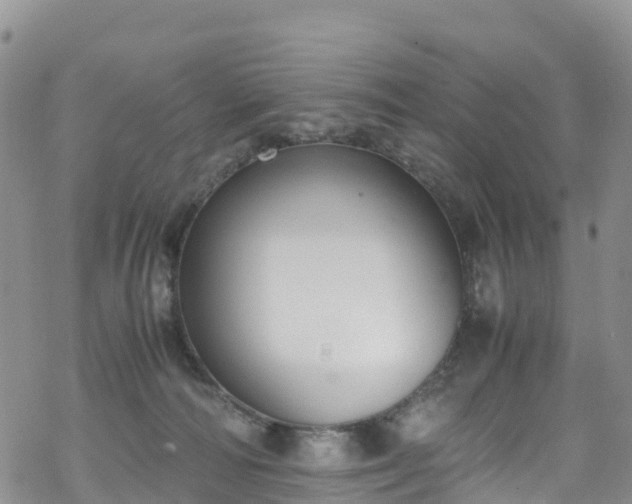 X0000069410226200605192312