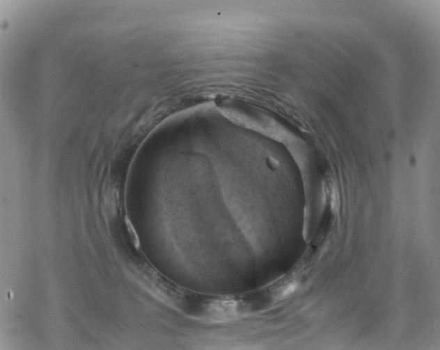 X0000069410227200605192312