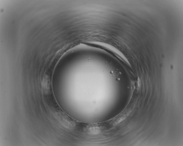 X0000069410228200605192312