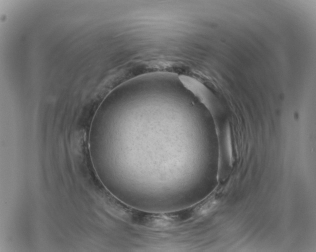 X0000069410229200605192312