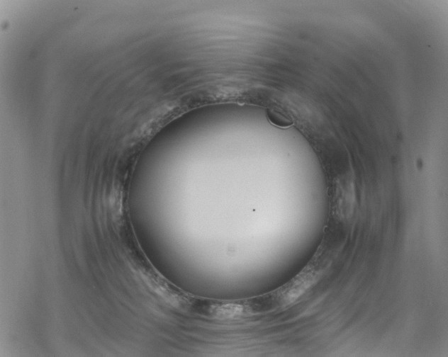 X0000069410230200605192312