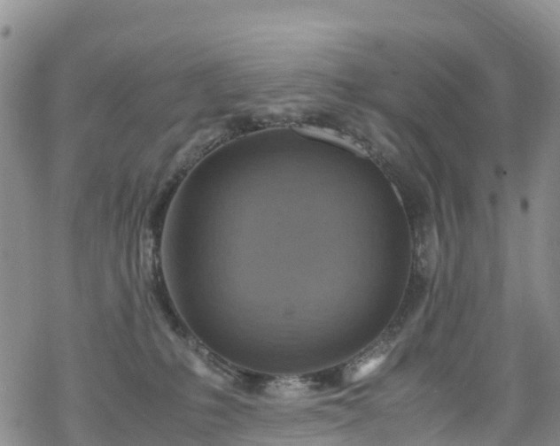 X0000069410231200605192312