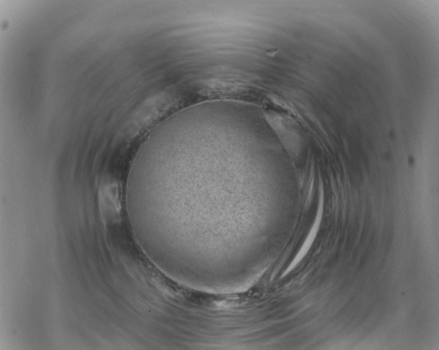 X0000069410232200605192312