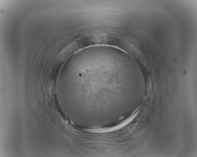 X0000069410233200605192312