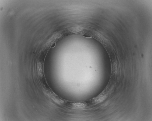 X0000069410234200605192312