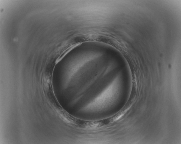 X0000069410235200605192312