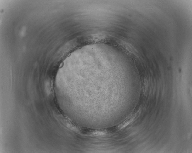 X0000069410236200605192312