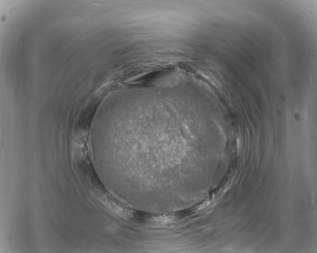 X0000069410237200605192312