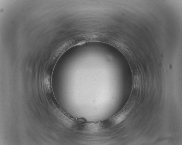 X0000069410238200605192312