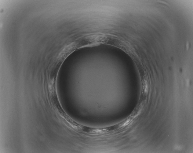 X0000069410239200605192312