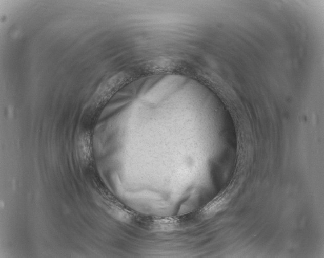 X0000069410240200605192312