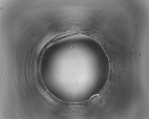 X0000069410242200605192311