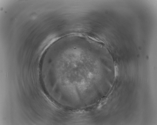 X0000069410243200605192311