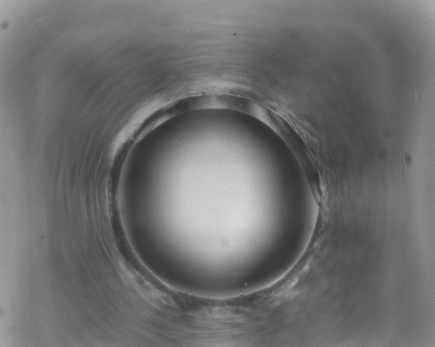 X0000069410244200605192311