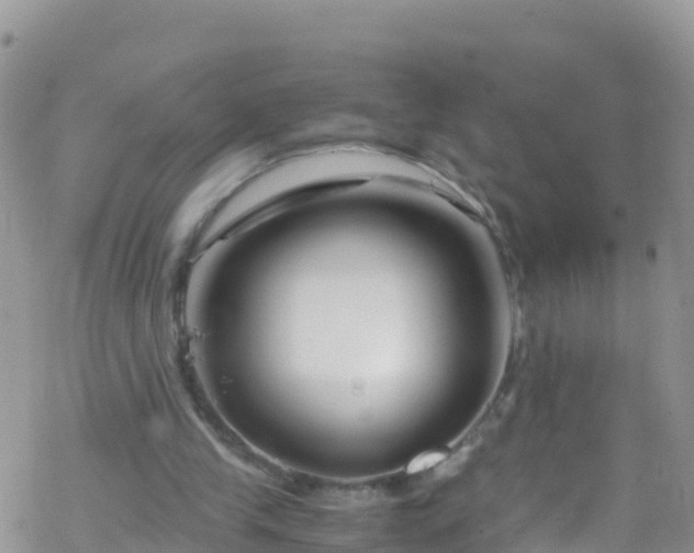 X0000069410245200605192311