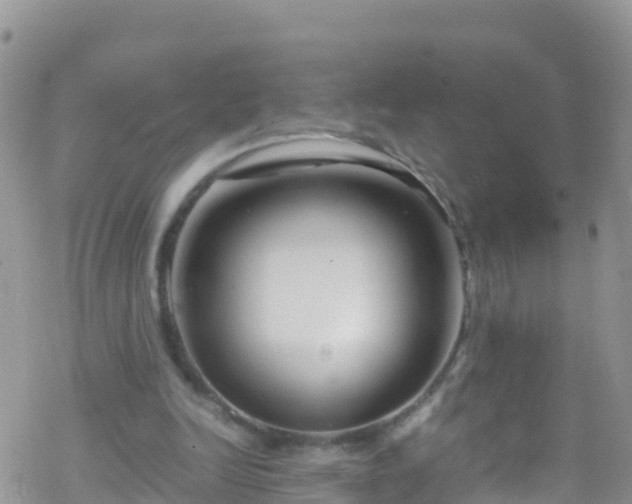 X0000069410246200605192311