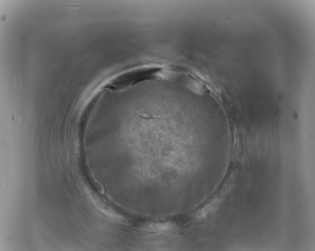 X0000069410247200605192311