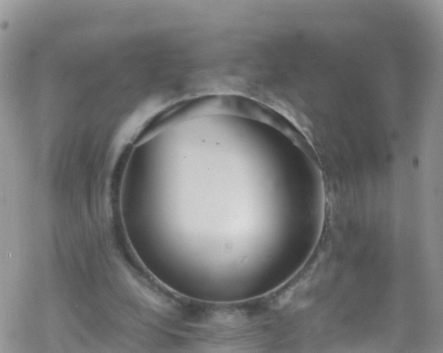 X0000069410248200605192311