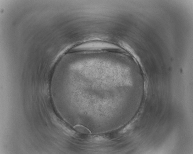 X0000069410249200605192311