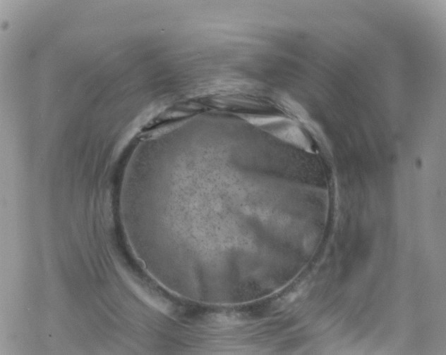 X0000069410250200605192311