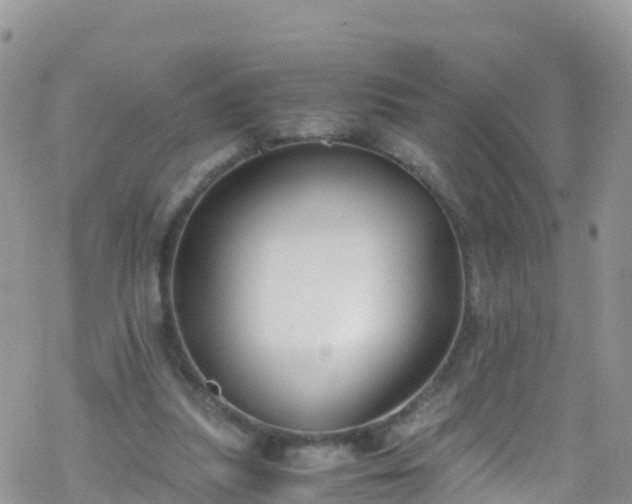 X0000069410251200605192311