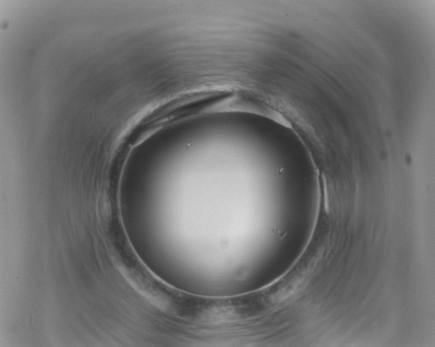 X0000069410252200605192311