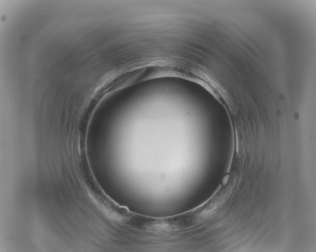 X0000069410253200605192311