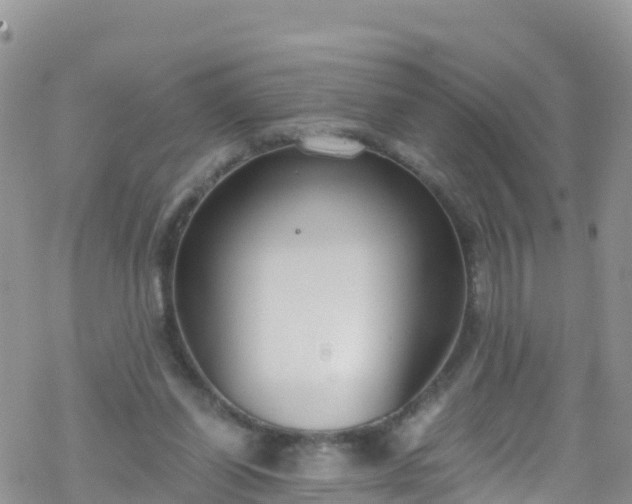 X0000069410254200605192311