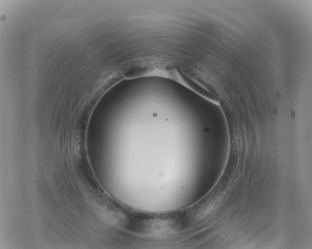 X0000069410255200605192311