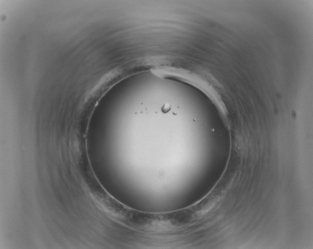 X0000069410256200605192311