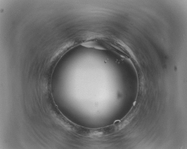 X0000069410257200605192311