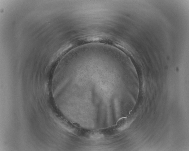 X0000069410258200605192311