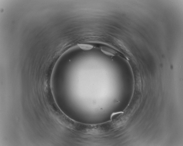 X0000069410259200605192311