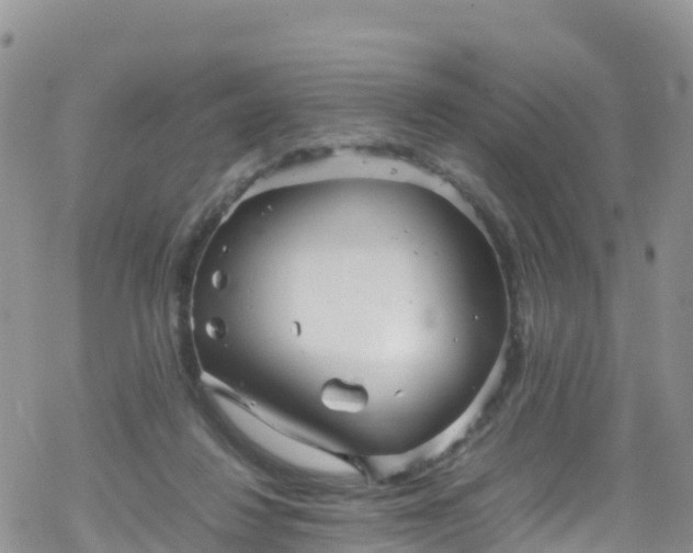 X0000069410260200605192311