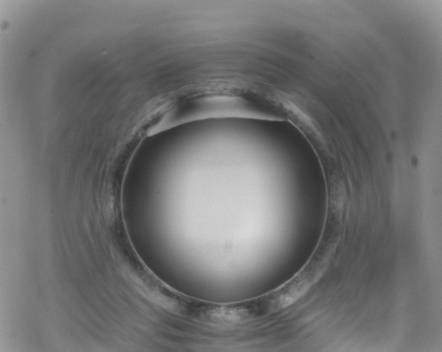 X0000069410261200605192311