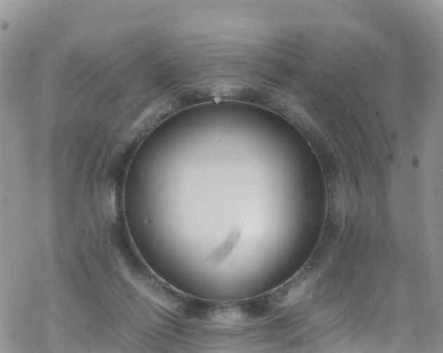 X0000069410262200605192311