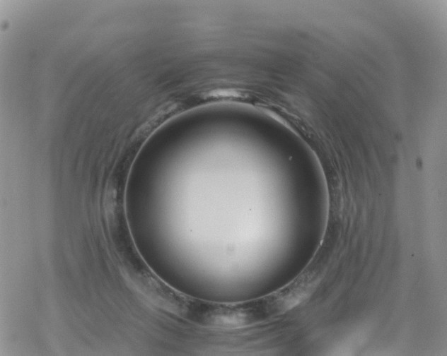 X0000069410263200605192311